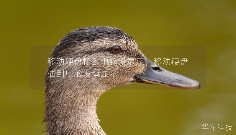 移動硬盤接到電腦沒顯示，移動硬盤插到電腦沒有顯示