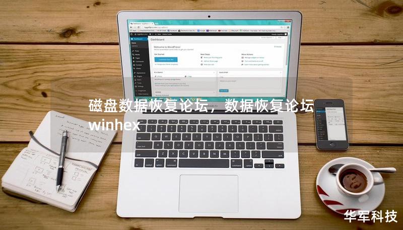 磁盤數據恢復論壇，數據恢復論壇 winhex