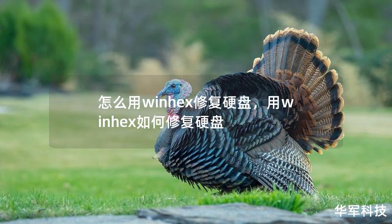 怎么用winhex修復硬盤，用winhex如何修復硬盤