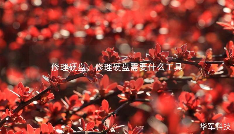 修理硬盤，修理硬盤需要什么工具