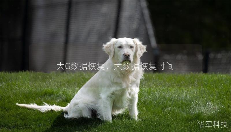 大G數據恢復，大數據恢復時間
