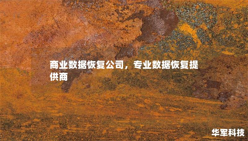 商業(yè)數(shù)據(jù)恢復(fù)公司，專業(yè)數(shù)據(jù)恢復(fù)提供商