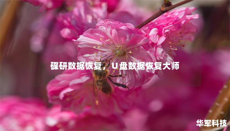 碟研數據恢復，∪盤數據恢復大師