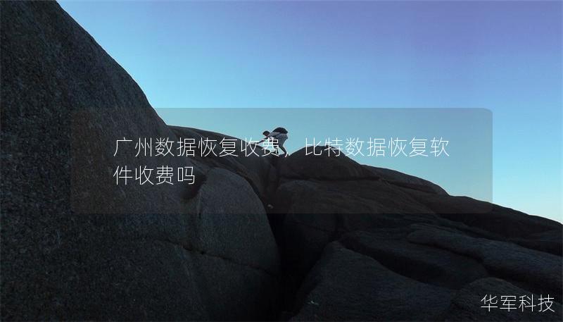 廣州數據恢復收費，比特數據恢復軟件收費嗎