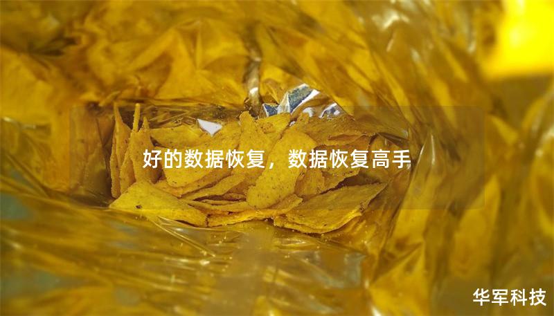 好的數據恢復，數據恢復高手