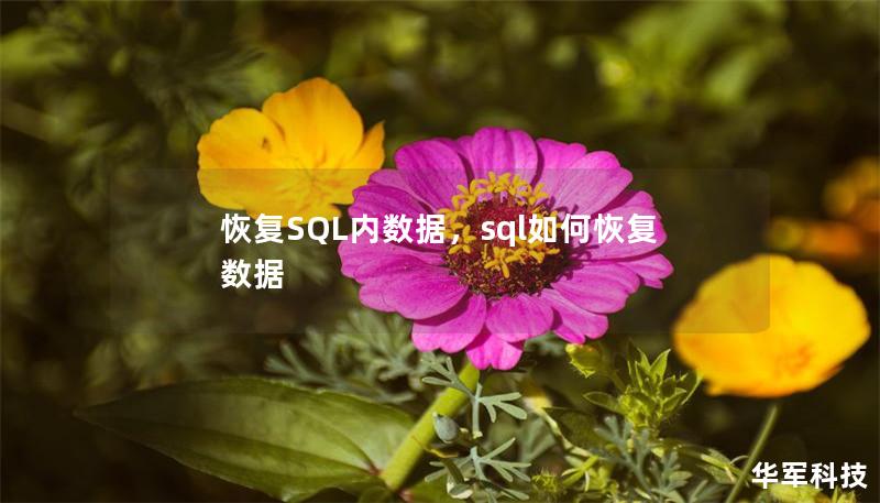 恢復SQL內數據，sql如何恢復數據