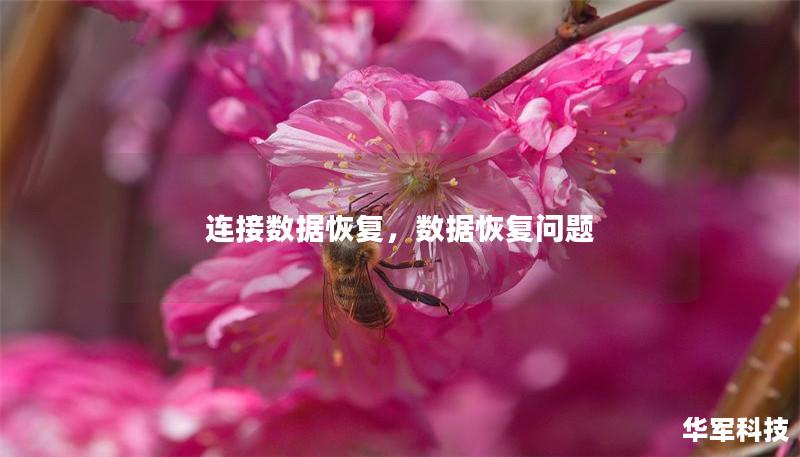 連接數據恢復，數據恢復問題