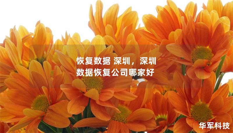 恢復數據 深圳，深圳 數據恢復公司哪家好