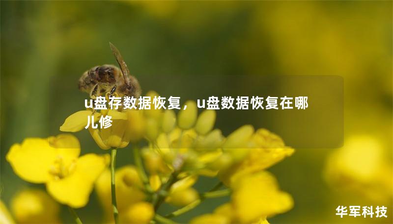 u盤存數據恢復，u盤數據恢復在哪兒修