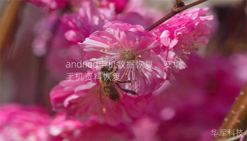andriod手機數(shù)據(jù)恢復(fù)，安卓手機資料恢復(fù)