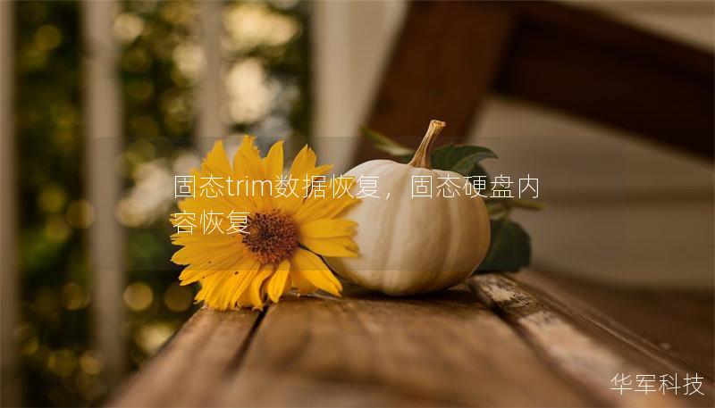 固態trim數據恢復，固態硬盤內容恢復