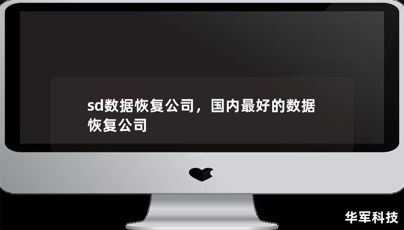 sd數據恢復公司，國內最好的數據恢復公司