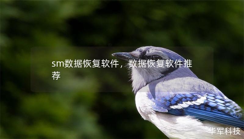 sm數(shù)據(jù)恢復(fù)軟件，數(shù)據(jù)恢復(fù)軟件推薦