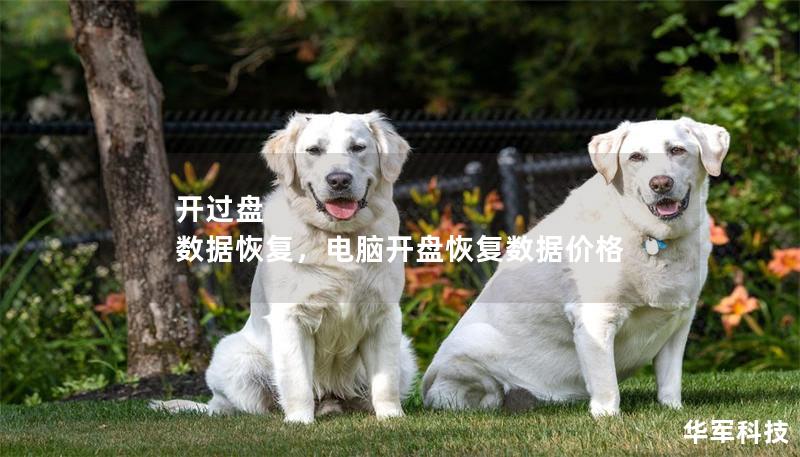開過盤 數據恢復，電腦開盤恢復數據價格