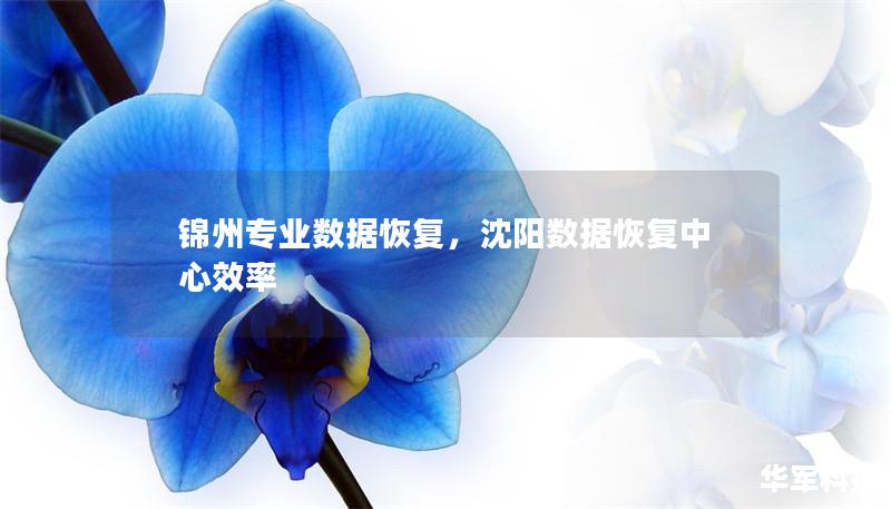 錦州專業(yè)數(shù)據(jù)恢復，沈陽數(shù)據(jù)恢復中心效率