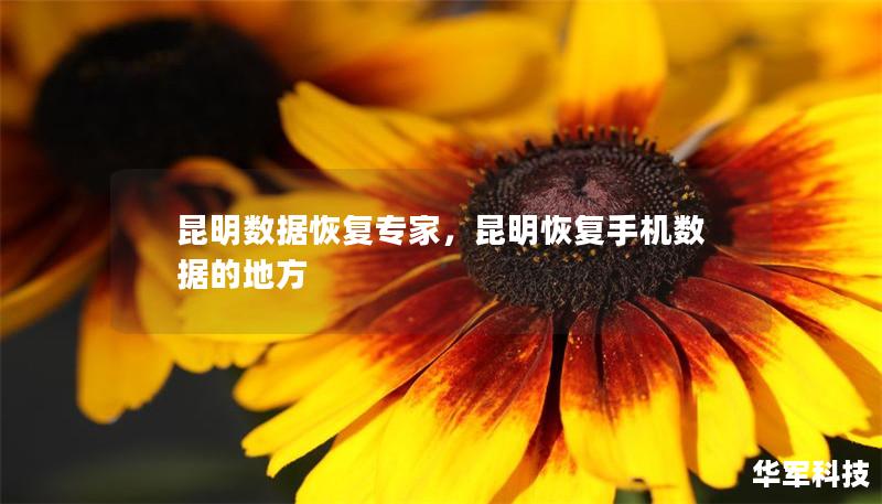 昆明數據恢復專家，昆明恢復手機數據的地方