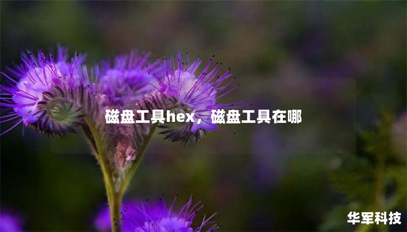 磁盤(pán)工具h(yuǎn)ex，磁盤(pán)工具在哪