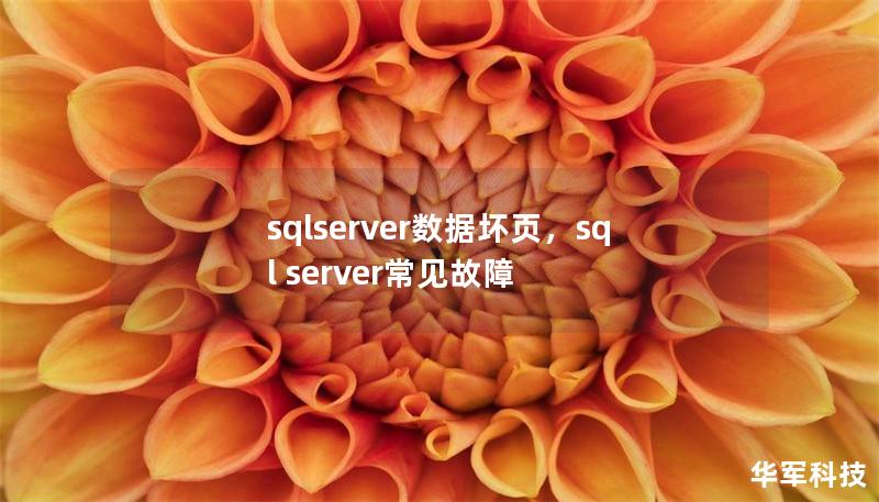 sqlserver數(shù)據(jù)壞頁(yè)，sql server常見(jiàn)故障