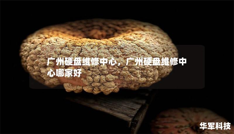 廣州硬盤維修中心，廣州硬盤維修中心哪家好