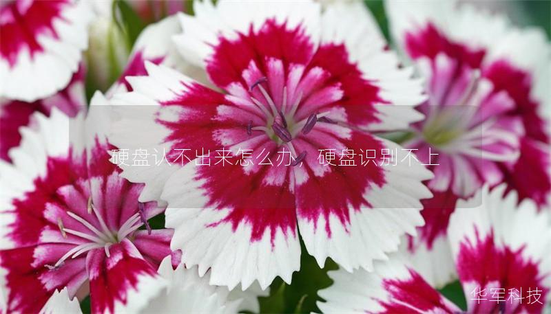 硬盤認(rèn)不出來怎么辦，硬盤識(shí)別不上