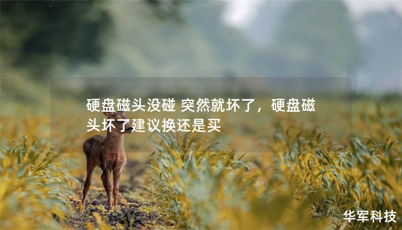 硬盤磁頭沒碰 突然就壞了，硬盤磁頭壞了建議換還是買