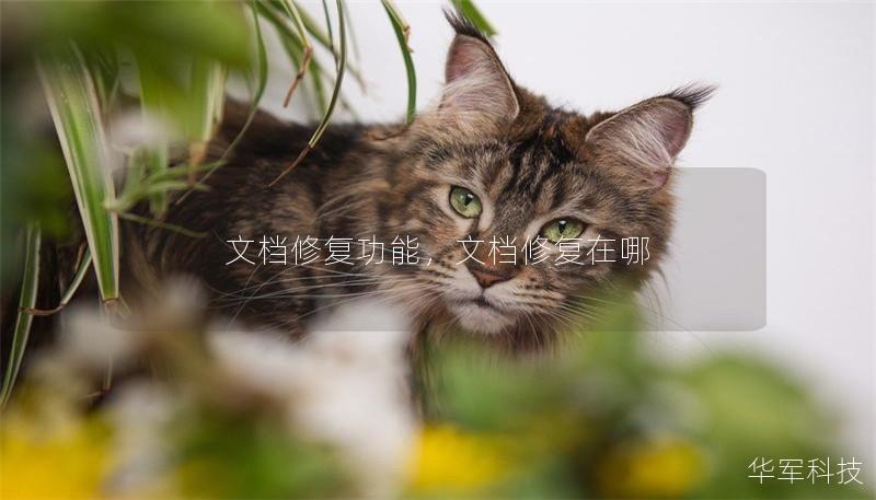 文檔修復(fù)功能，文檔修復(fù)在哪