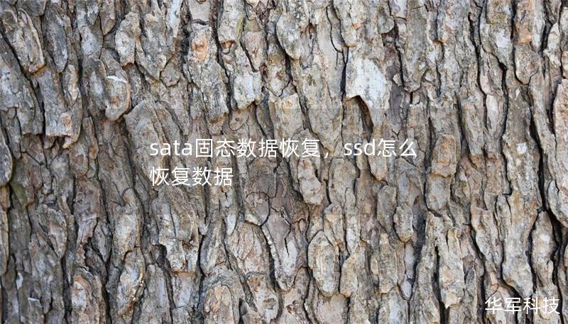 sata固態數據恢復，ssd怎么恢復數據