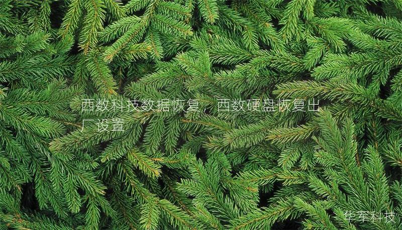 西數(shù)科技數(shù)據(jù)恢復(fù)，西數(shù)硬盤(pán)恢復(fù)出廠設(shè)置