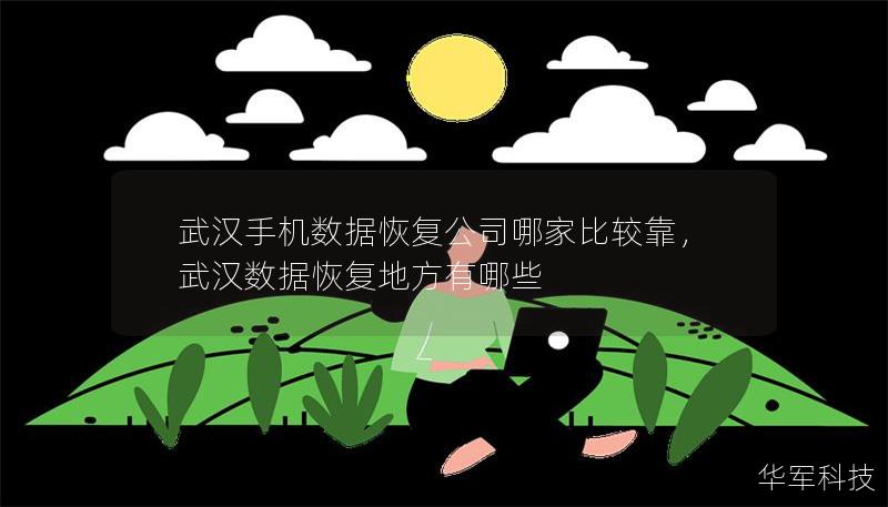 武漢手機(jī)數(shù)據(jù)恢復(fù)公司哪家比較靠，武漢數(shù)據(jù)恢復(fù)地方有哪些