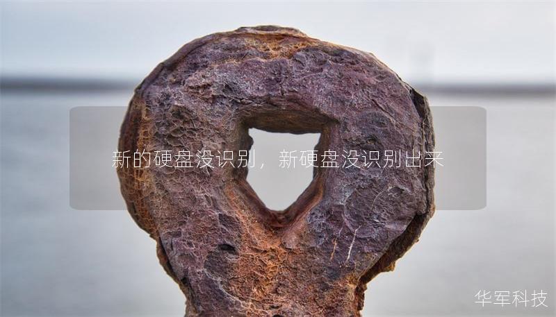 新的硬盤沒識別，新硬盤沒識別出來