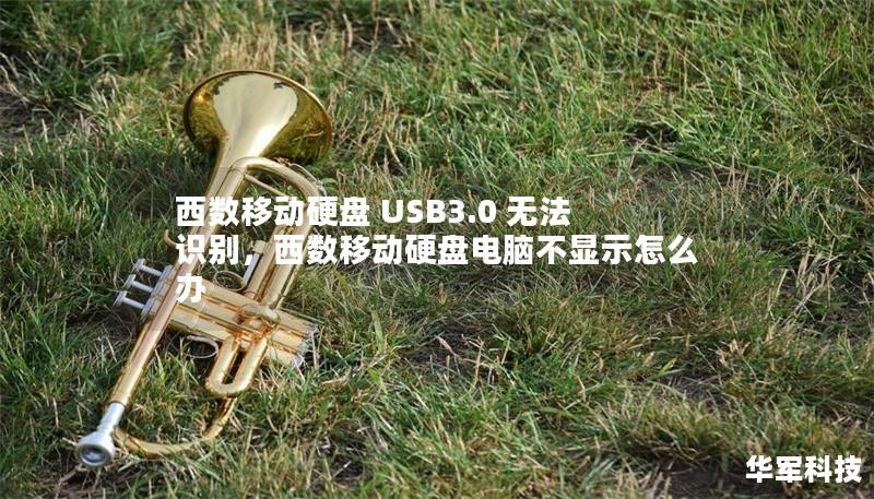 西數(shù)移動(dòng)硬盤 USB3.0 無法識(shí)別，西數(shù)移動(dòng)硬盤電腦不顯示怎么辦
