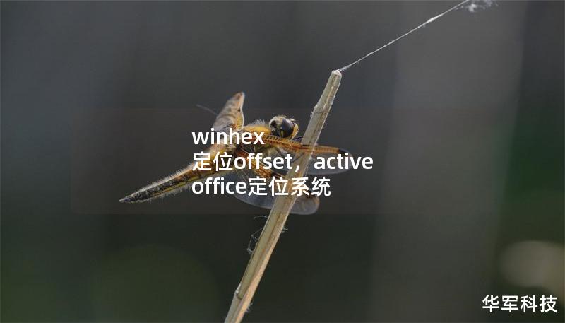 winhex 定位offset，active office定位系統