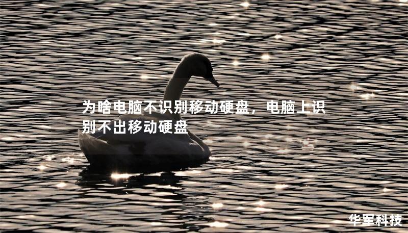 為啥電腦不識(shí)別移動(dòng)硬盤，電腦上識(shí)別不出移動(dòng)硬盤