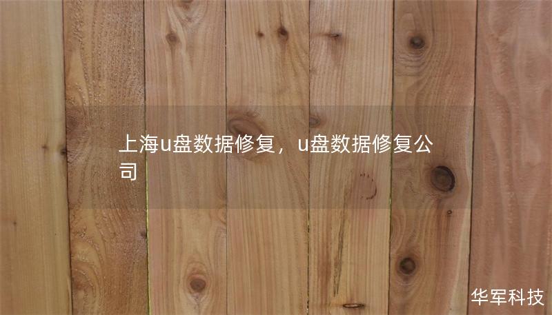 上海u盤數(shù)據(jù)修復(fù)，u盤數(shù)據(jù)修復(fù)公司