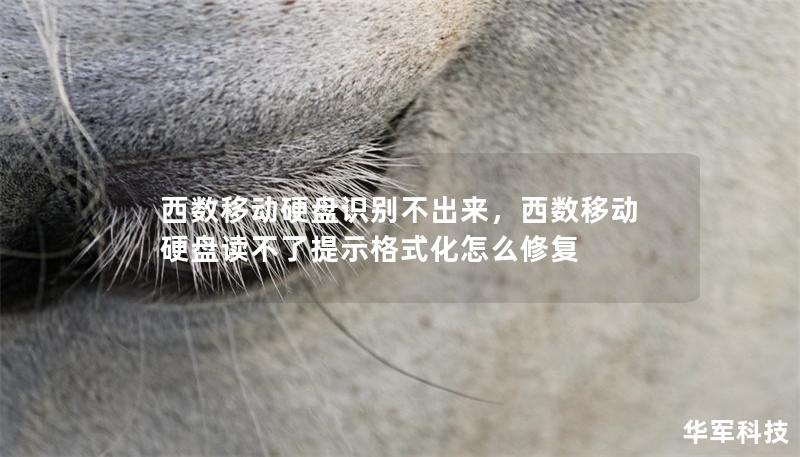 西數(shù)移動(dòng)硬盤識(shí)別不出來(lái)，西數(shù)移動(dòng)硬盤讀不了提示格式化怎么修復(fù)