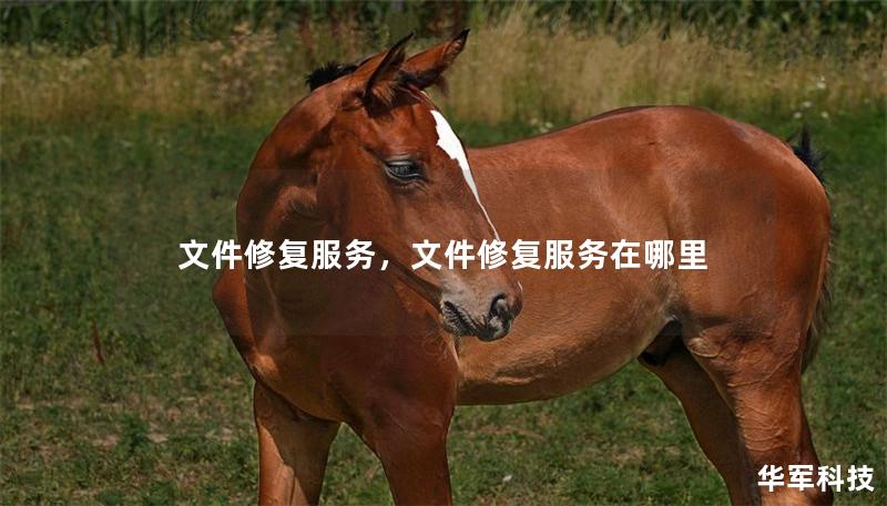 文件修復(fù)服務(wù)，文件修復(fù)服務(wù)在哪里
