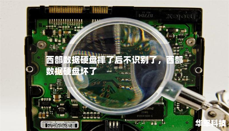 西部數據硬盤摔了后不識別了，西部數據硬盤壞了