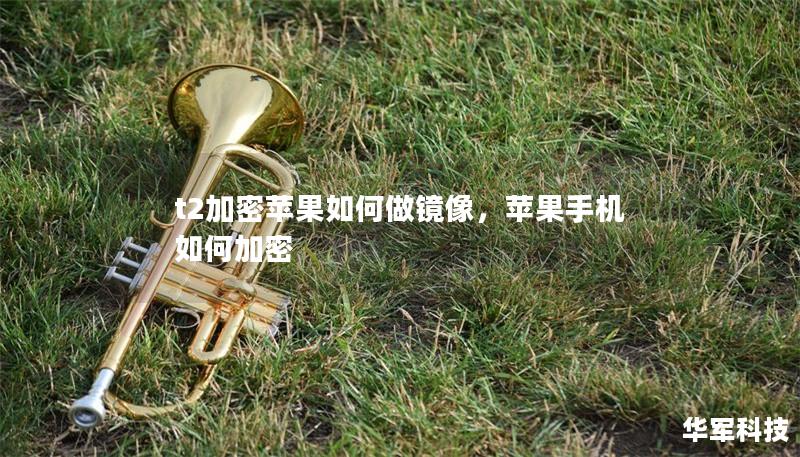 t2加密蘋(píng)果如何做鏡像，蘋(píng)果手機(jī)如何加密