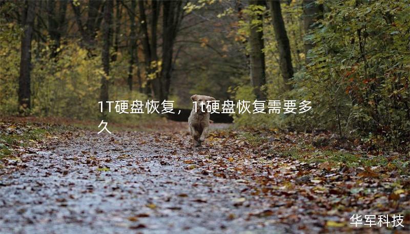 1T硬盤恢復(fù)，1t硬盤恢復(fù)需要多久