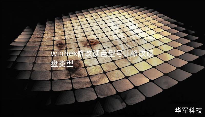 winhex修改硬盤型號，修改硬盤類型