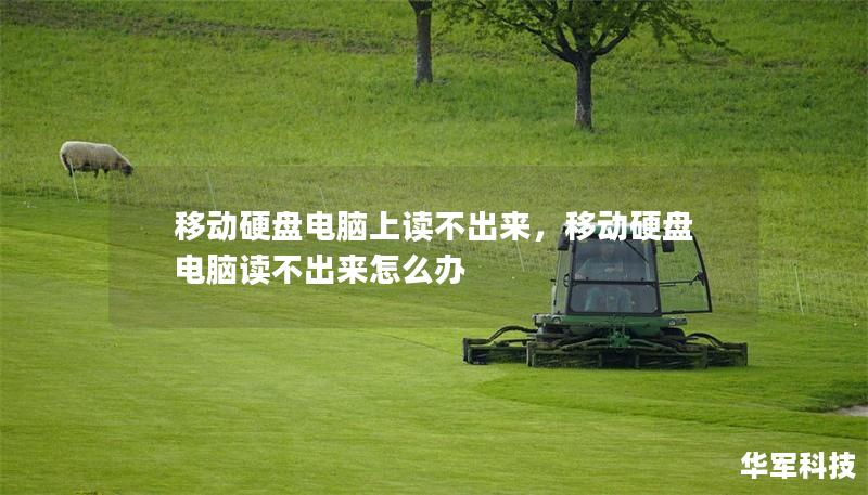 移動(dòng)硬盤(pán)電腦上讀不出來(lái)，移動(dòng)硬盤(pán)電腦讀不出來(lái)怎么辦