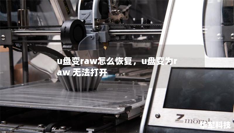 u盤變raw怎么恢復，u盤變為raw 無法打開