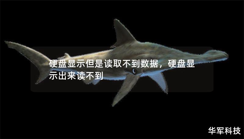 硬盤顯示但是讀取不到數(shù)據(jù)，硬盤顯示出來讀不到