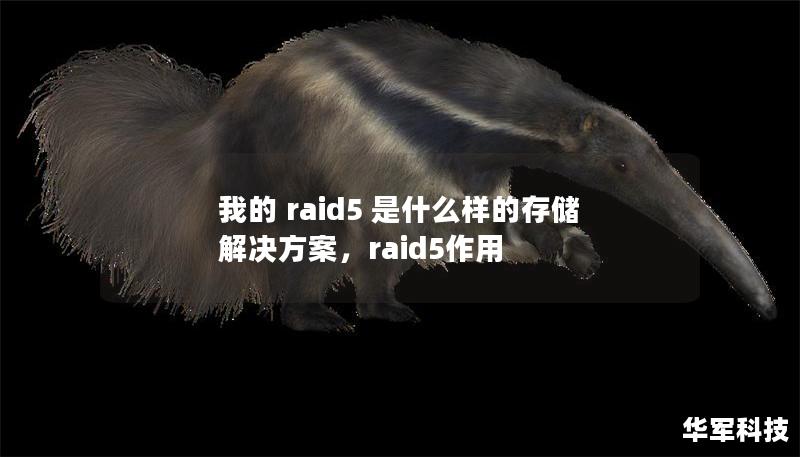 我的 raid5 是什么樣的存儲解決方案，raid5作用