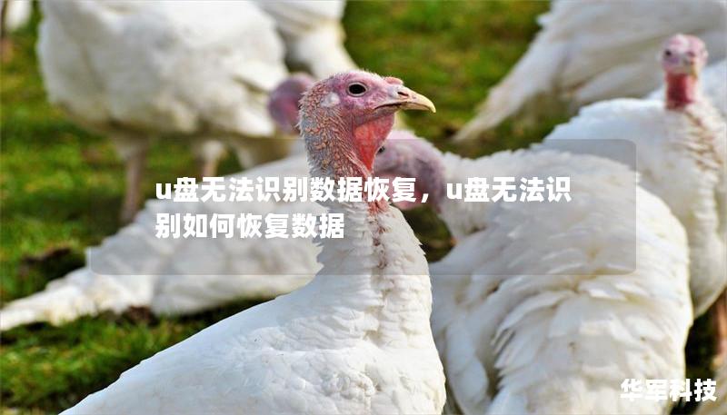 u盤(pán)無(wú)法識(shí)別數(shù)據(jù)恢復(fù)，u盤(pán)無(wú)法識(shí)別如何恢復(fù)數(shù)據(jù)