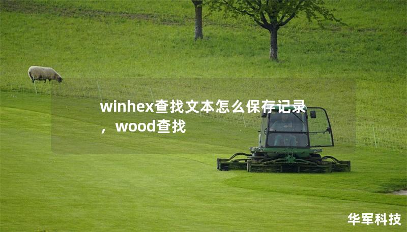 winhex查找文本怎么保存記錄，wood查找
