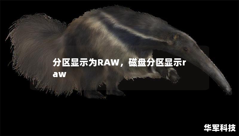 分區(qū)顯示為RAW，磁盤分區(qū)顯示raw