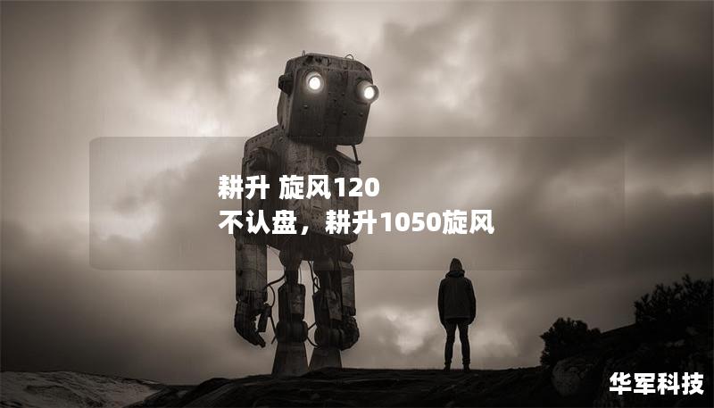 耕升 旋風120 不認盤，耕升1050旋風