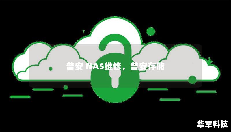 普安 NAS維修，普安存儲