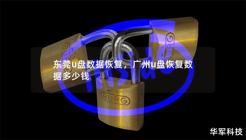 東莞u盤(pán)數(shù)據(jù)恢復(fù)，廣州u盤(pán)恢復(fù)數(shù)據(jù)多少錢(qián)